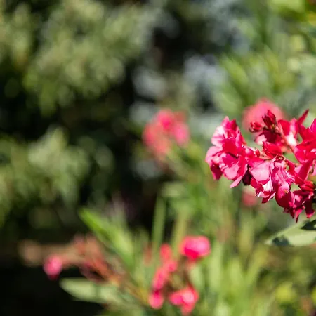 Vila Dordogne River Bliss Pineuilh