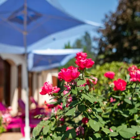 Dordogne River Bliss Vila Pineuilh